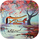 Bicharte Mausam APK