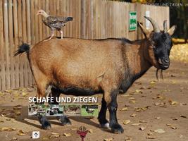 Bielefeld Zoo 스크린샷 3