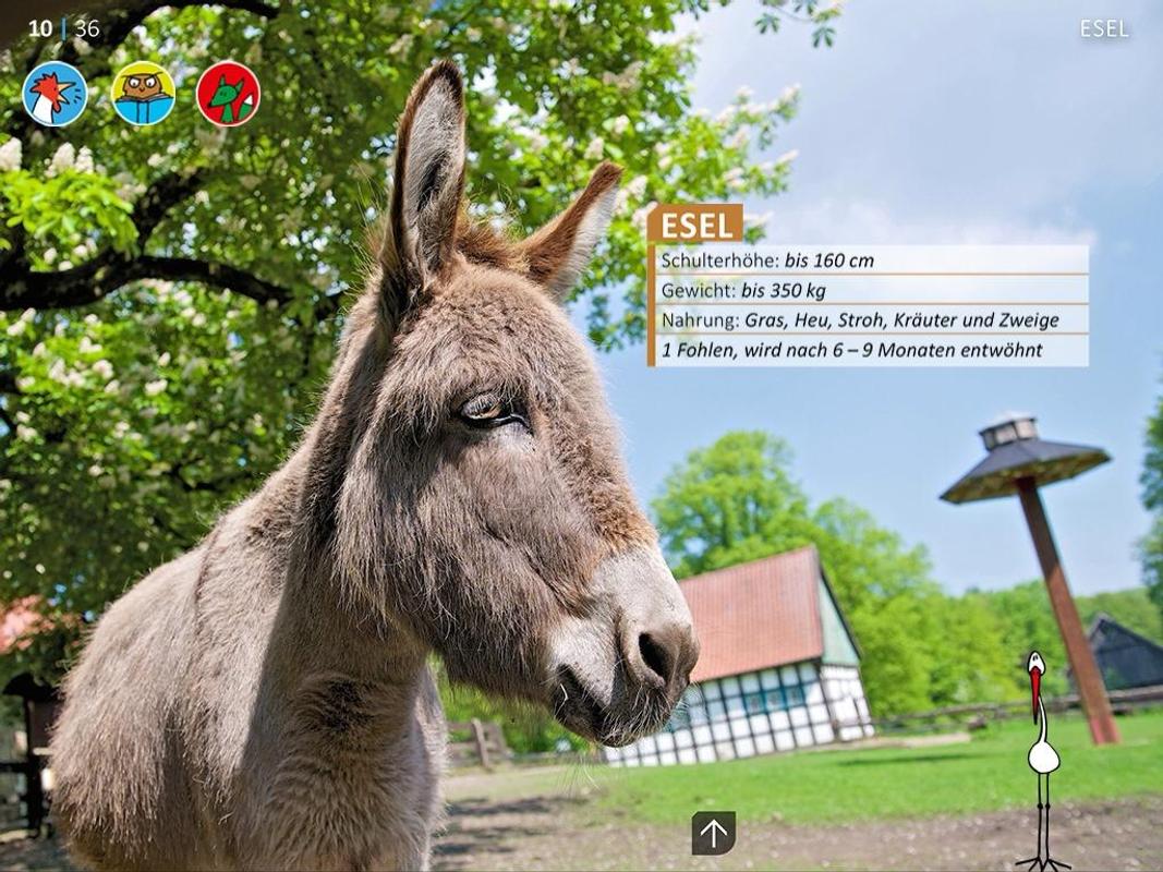 Zoo Bielefeld Zoo Bielefeld