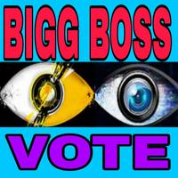 BiggBoss Voting-Public Opinion الملصق
