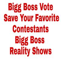 BiggBoss Voting-Public Opinion تصوير الشاشة 1