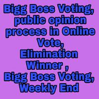 BiggBoss Voting-Public Opinion تصوير الشاشة 2