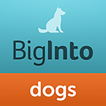 BigInto Dogs and Puppies