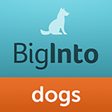 BigInto Dogs and Puppies icône