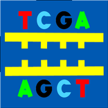 DNA2App - Sequence analyzer