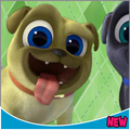 bingo dog adventure