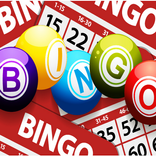 Bingo Quest