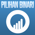 Membimbing Pilihan Perduaan