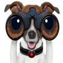 Binoculars Spy Camera HD APK