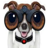 双眼鏡スパイカメラHD