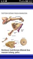 Biologi poster