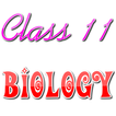”Class 11 Biology Solutions