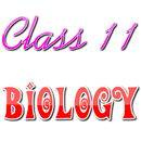 Class 11 Biology Solutions APK