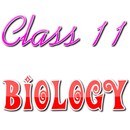 Class 11 Biology NCERT APK