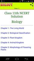 Class 11 Biology Solutions Affiche