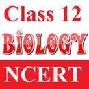 Class 12 Biology Solutions APK