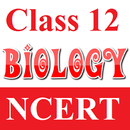 Class 12 Biology NCERT APK