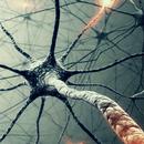 APK Biology Questions