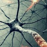 Biology Questions
