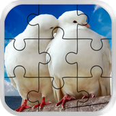Love Birds Jigsaw puzzle  icon