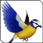 Bird Simulator icon