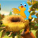 Bird Training APK