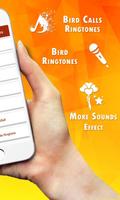 Bird Calls, Sounds & Ringtones 截图 3