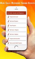 Bird Calls, Sounds & Ringtones 海报