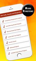 Bird Calls, Sounds & Ringtones screenshot 1