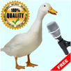 Birds Sounds for Kids-APK