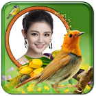 Birds Photo Frame: BPF Zeichen