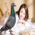 Bird Sticker Photo Editor