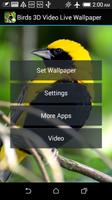 Aves de vídeo Live Wallpaper imagem de tela 3