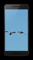 Birds 3D Wallpaper capture d'écran 1