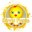 Birds Fania