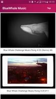 Blue Whale Challenge Music Tracks Affiche