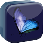 Blue Butterfly Live Wallpaper icône