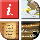Best Urdu Status 2018 icône