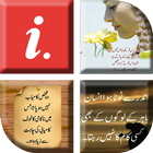Best Urdu Status 2018 آئیکن