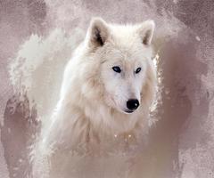Ice Wolf 3D Live Wallpaper 截图 3