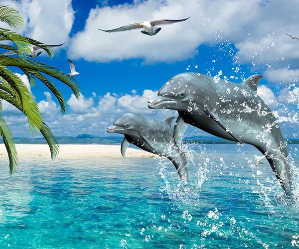 Descarga de APK de fondos de pantalla animados de delfines para Android Descarga de APK de fondos de pantalla animados de delfines para Android
