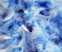 Feather Wallpapers скриншот 1