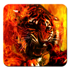 Fire Tiger Live Wallpaper icon