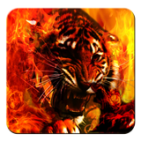 Fire Tiger Live Wallpaper icône