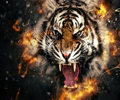 Fire Tiger Live Wallpaper screenshot 1