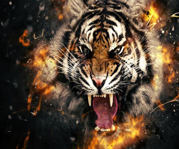 Terkeren 21 Wallpaper Keren Macan Rona Wallpaper