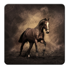 Horses Live Wallpaper icono