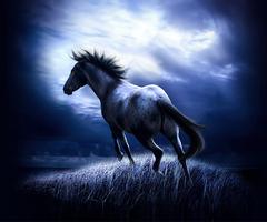 Horses Live Wallpaper captura de pantalla 2