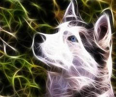 Neon Animals Wallpapers screenshot 1