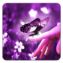 Purple Butterfly Wallpapers APK